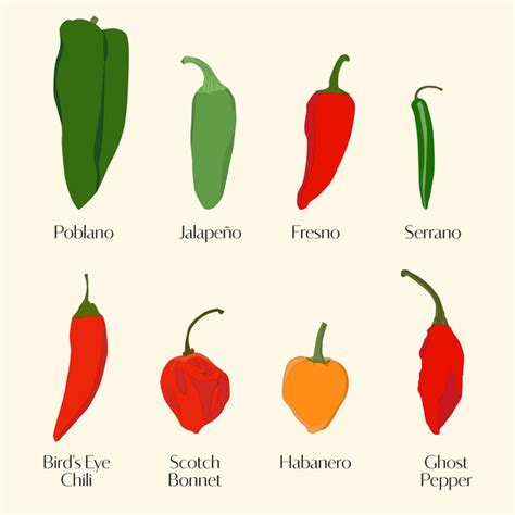 your ultimate guide to chile peppers—from mild to spicy