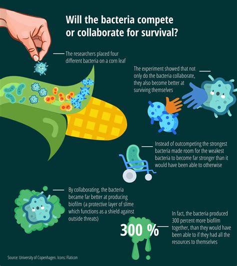 From University Of Copenhagen Friendly Bacteria Collaborate To
