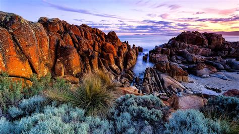 Tasmania wyspa dziwna i piękna 2017 cały film dokumentalny