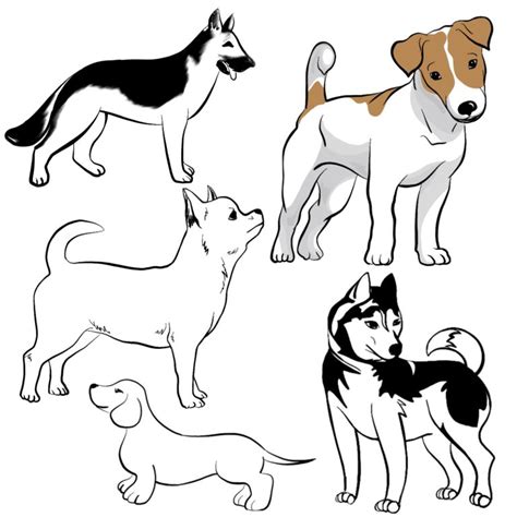 Рисунки собаки карандашом для детей поэтапно 30 фото 🔥