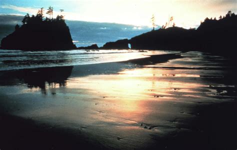 Olympic Coast National Marine Sanctuary In Photos