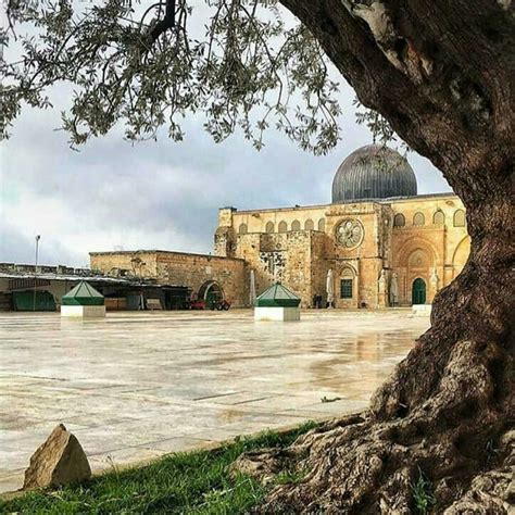 Millions of feet have walked the. Masjid e Al Aqsa mosque panosundaki Pin