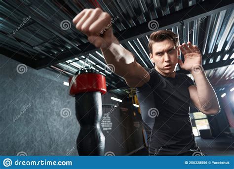 Determined Young Boxer Practicing Blows At Gym Stock Photo Image Of