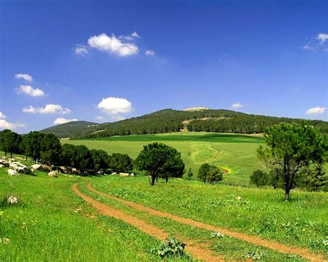 Green Israel Most Beautiful Places In The World Download Free