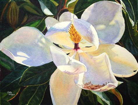 Magnolia Watercolor Painting Print By Cathy Hillegas X Etsy