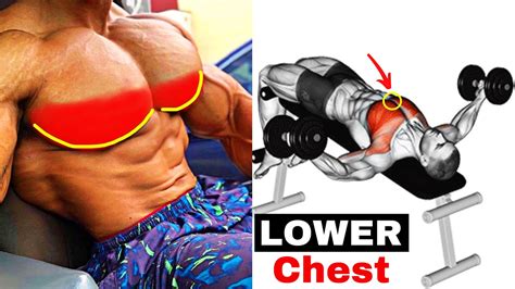 8 best exercise lower chest workout 🔥 youtube