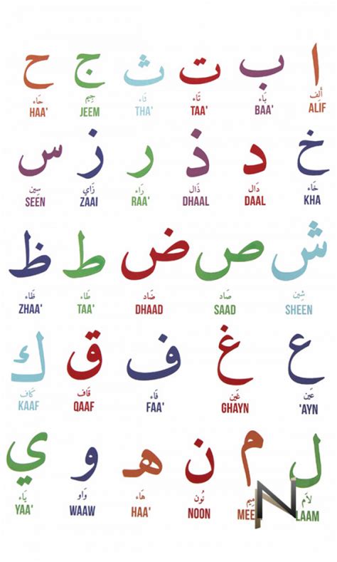 Large Format Printed Canvas Arabic Alphabet And Phonetics Canvas Only