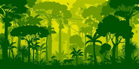 Jungle Forest Silhouette Rainforest Background 24082057 Vector Art At