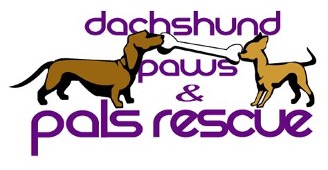 Dachshund Paws Rescue Is One Of The Premier Small Dog Rescue And
