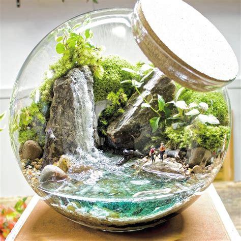 A Glass Bowl Filled With Water And Plants