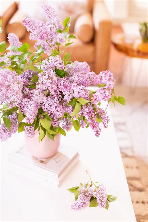 How To Create A Lilac Bouquet Justinecelina