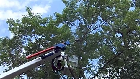 See our outage status definition list to learn what the status of your outage means. Bucket truck 60ft cutting tree near power lines - YouTube