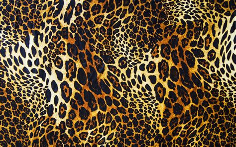 Descargar Fondos De Pantalla 4k Piel De Leopardo Textura Macro Marrón Manchas De Textura