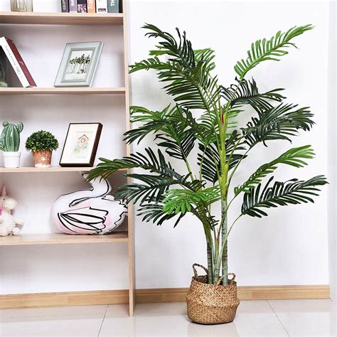 The Seasonal Aisle Palm Tree In Pot And Reviews Uk