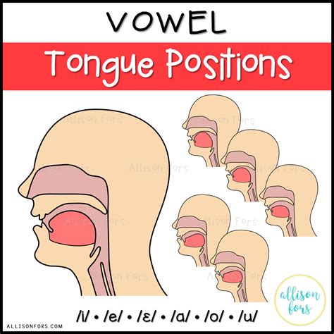 Vocal Production Anatomy For 6 Vowels The Clipart Images Depict The