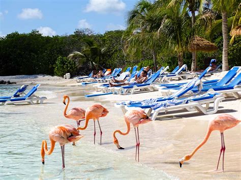 Renaissance Private Island E A Praia Dos Flamingos Em Aruba Viagens