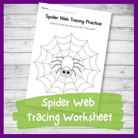 Spider Web Tracing Practice Worksheet Preschool Printable Nurtured