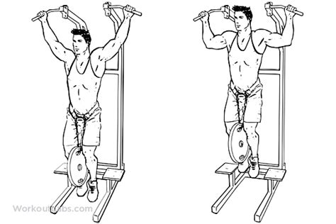 √ Weighted Pullups