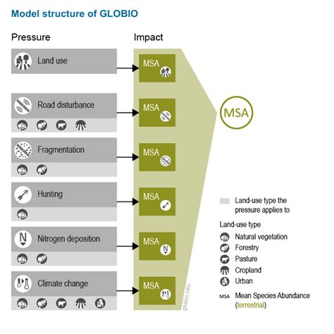 What Is Globio Globio Global Biodiversity Model For Policy Support