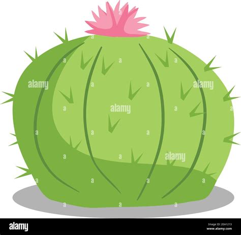 Cactus Desert Plant Stock Illustration With Flowers Isolated In White