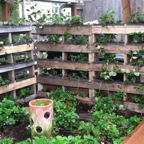 25 Diy Ideas Using Pallets For Raised Garden Beds Snappy