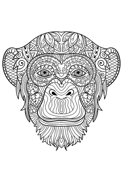 Monkey Head Monkeys Adult Coloring Pages