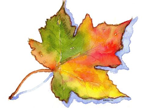 A beautiful archival print of maple leaves based on one of my original watercolor paintings. Maple Leaf Turning Painting by Carlin Blahnik