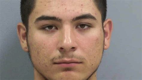 New Mexico Teen Charged With Incest Tried To Save Mom From Abuse
