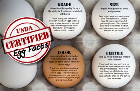 Egg White Nutrition Facts Usda Besto Blog