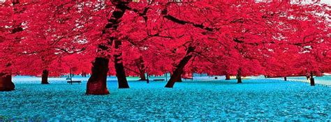 Beautiful Facebook Covers Myfbcovers