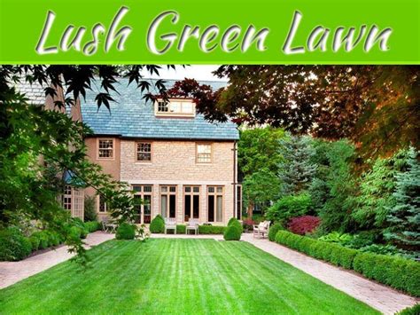 How To Maintain A Lush Green Lawn My Decorative Green Lawn Lush