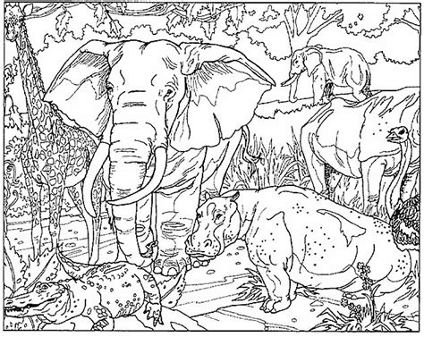 The african animals coloring page also available in pdf file which you can download for free. KleurplatenWereld.nl :: Gratis Dieren Olifanten ...