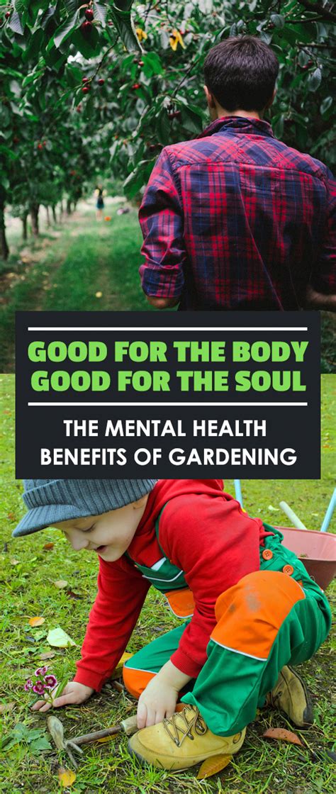 .﻿benefits of gardening gardening is a hobby for many people. Mental Health Benefits of Gardening: Good For The Mind And ...