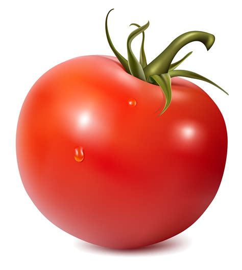 Tomato Png Transparent Image Download Size 2683x3000px