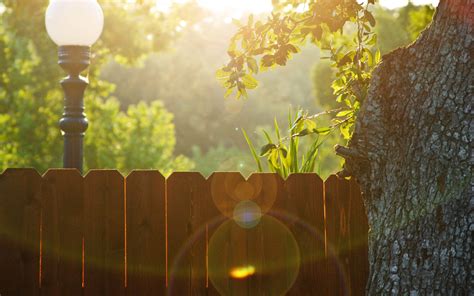 Nature Trees Fences Lanterns Sunlight Picket Fence Wallpaper