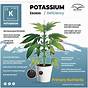 Weed Plant Deficiency Chart