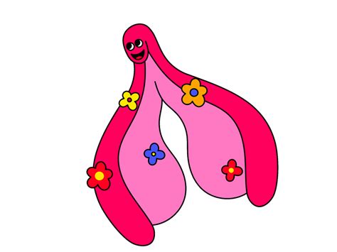 clitoris by marcela ibarra on dribbble