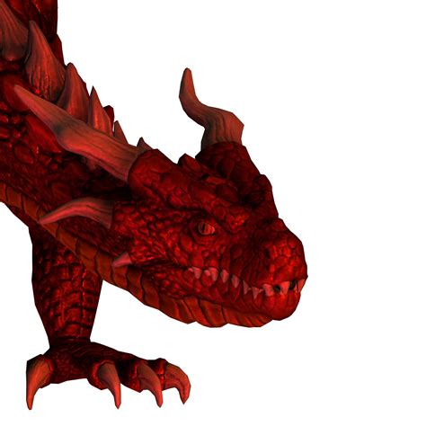 Red Head Dragon Free Stock Photo Public Domain Pictures
