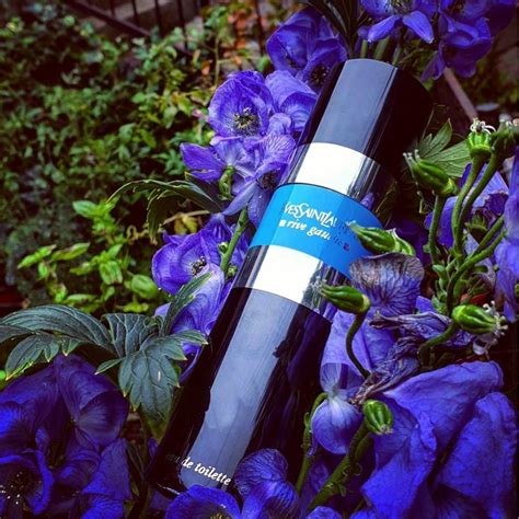 Rive Gauche Intense Yves Saint Laurent perfume - a fragrance for women 2003