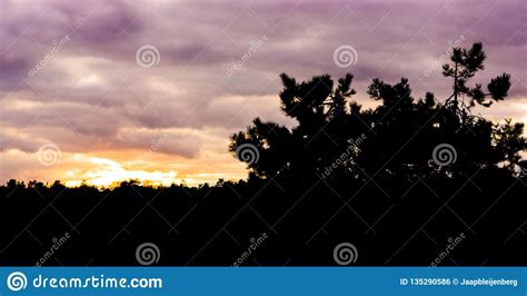 Sunset In Heather Landscape That Are Dark Silhouettes Colorful Sky And