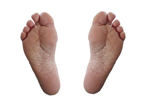 Feet Free Stock Photo Public Domain Pictures