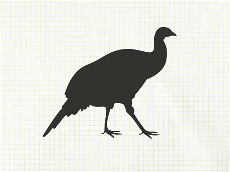 Wild Turkey Silhouette Svg File Set Hunter Hunting Bird Etsy España