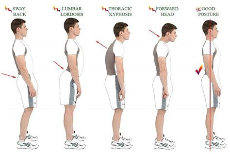 Good Posture Chart Posture Corrector Good Posture Postures