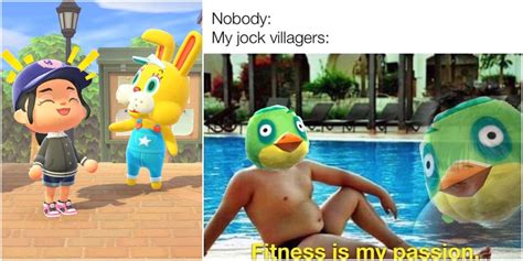 Animal Crossing 9 Jock Villager Memes That Are Too Hilarious For Words