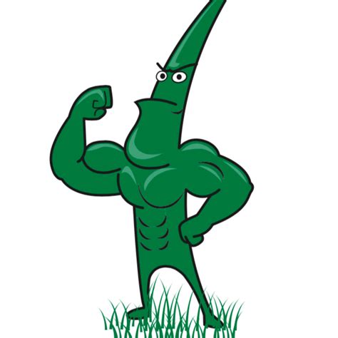 From core aeration to lawn fertilization, aaa lawn care has the tools to get the job done. CW LAWN CARE - CW LAWN CARE was live.