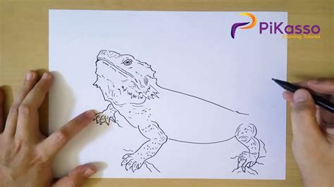 How To Draw Bearded Dragon Step By Step Youtube