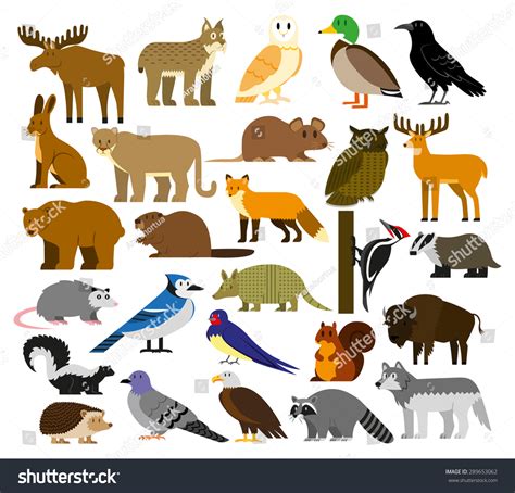 Vector Set Of Cartoon Forest Animals Isolated 289653062 Shutterstock