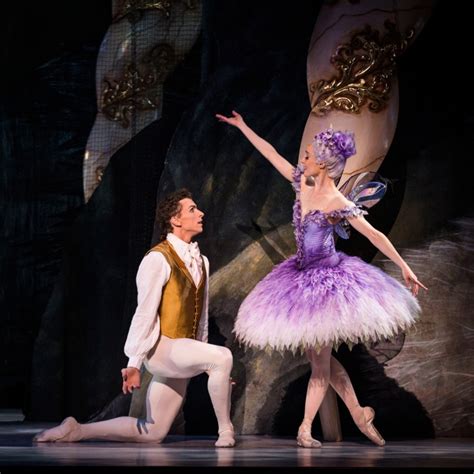 The Australian Ballet The Sleeping Beauty Review Man In Chair