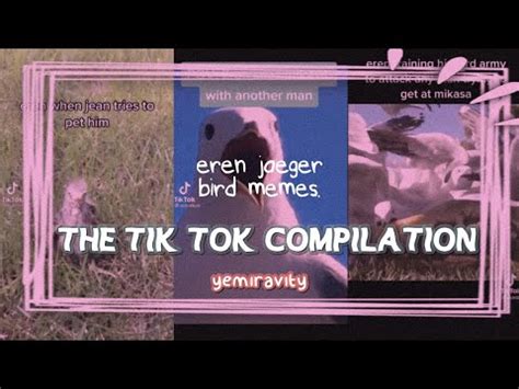 Compilation of bird eren meme spoiler. eren jaeger bird meme | tik tok compilation - YouTube