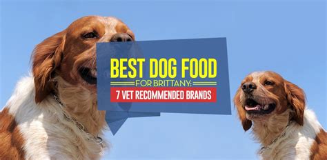 They will give you a list of vet recommended dog food brands that will best meet your dog's needs and suggest any additional pet supplements that he. Best Dog Food for Brittany in 2020: 7 Vet Recommended Brands